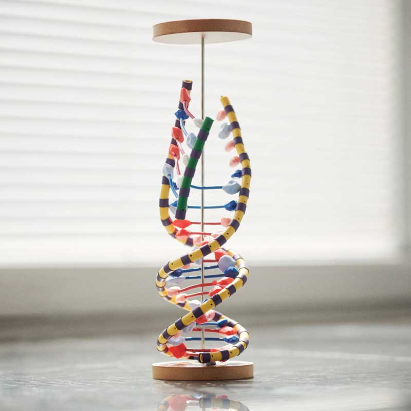 NORENS_LIFESCIENCE-1